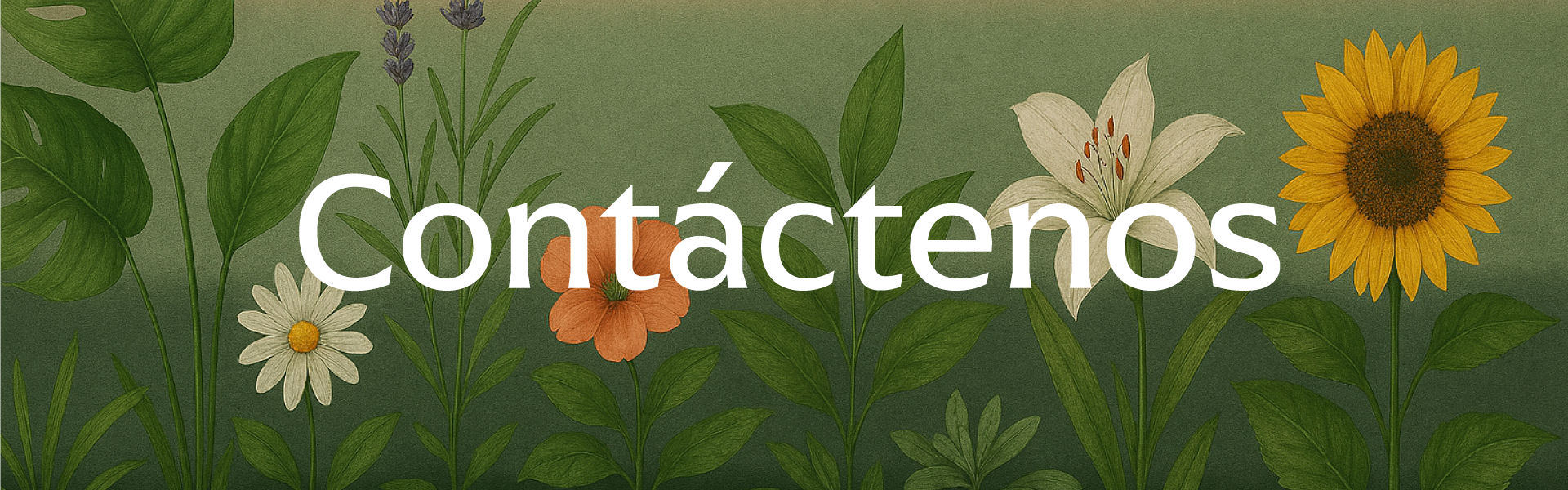 contactenos